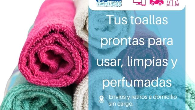 LAVADERO DOÑA AURORA (2)