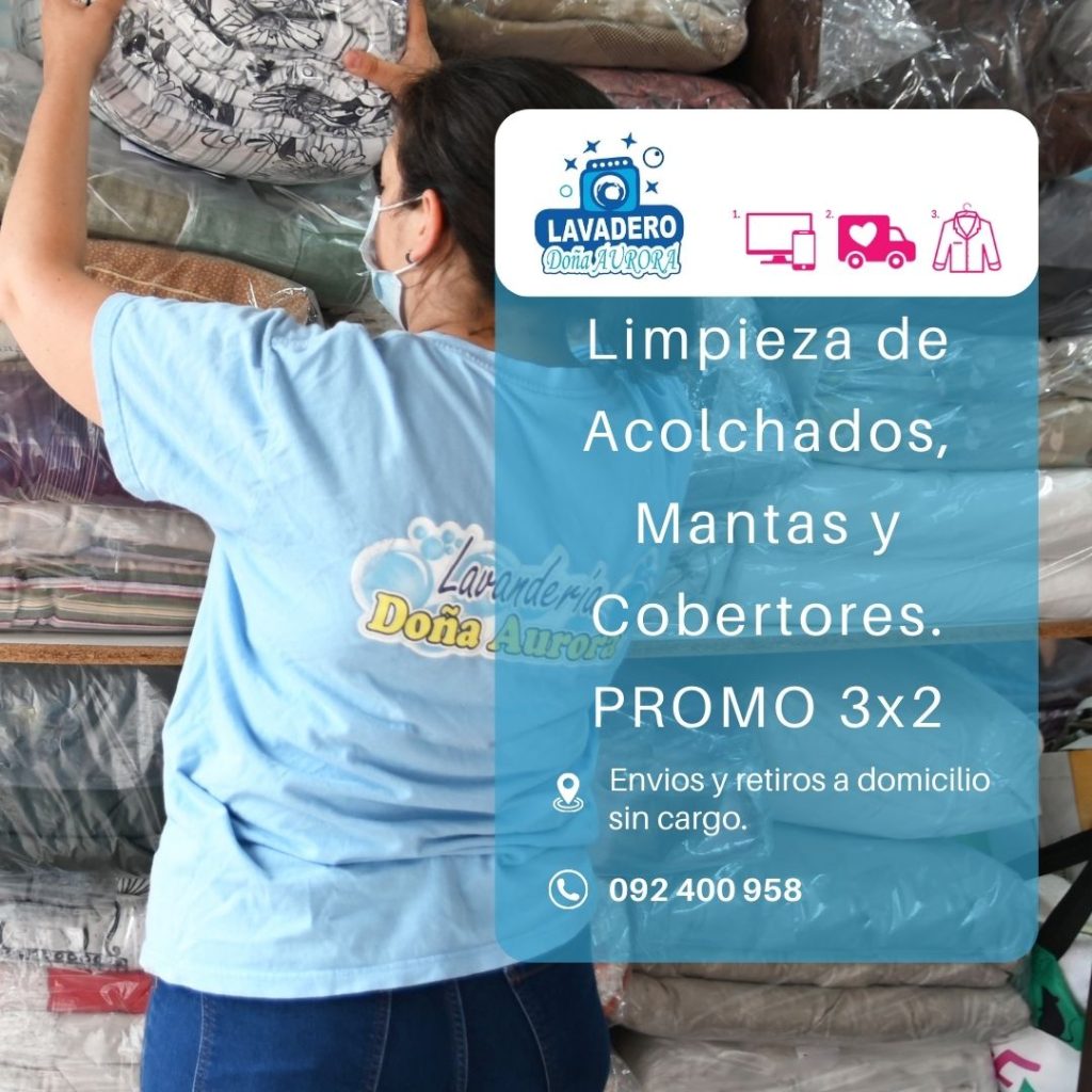 LAVADERO DOÑA AURORA (4)