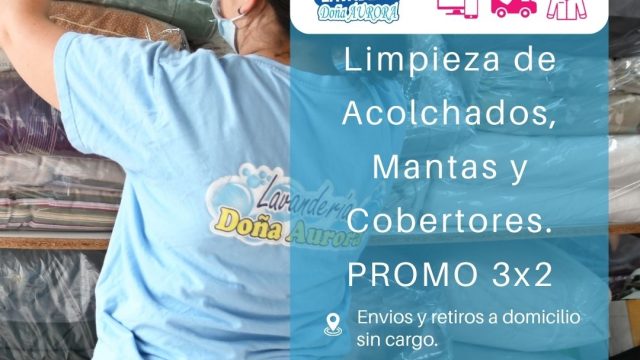 LAVADERO DOÑA AURORA (4)