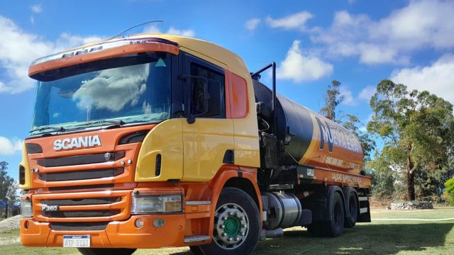 WhatsApp Image 2025-01-22 at 1.26.20 PM