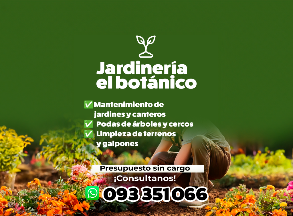 POCAPA ACCESORIOS 4X4CM copia