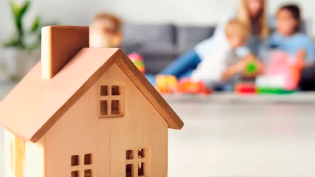 WhatsApp Image 2025-02-10 at 11.49.41 AM (1)