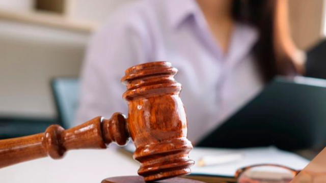 WhatsApp Image 2025-02-10 at 11.49.41 AM