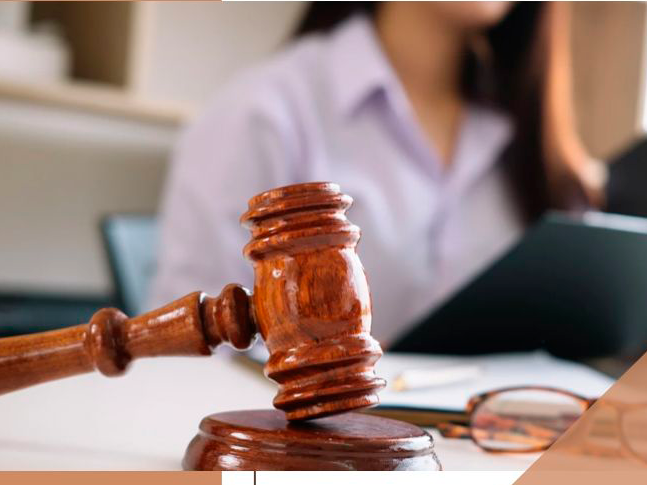 WhatsApp Image 2025-02-10 at 11.49.41 AM