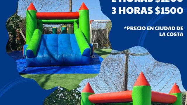 WhatsApp Image 2025-02-13 at 1.46.21 PM