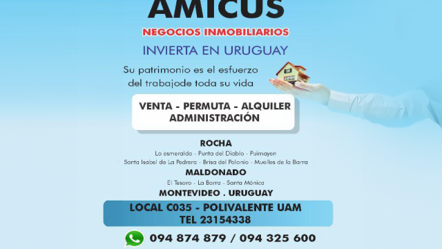 WhatsApp Image 2025-02-25 at 12.12.04 PM copia