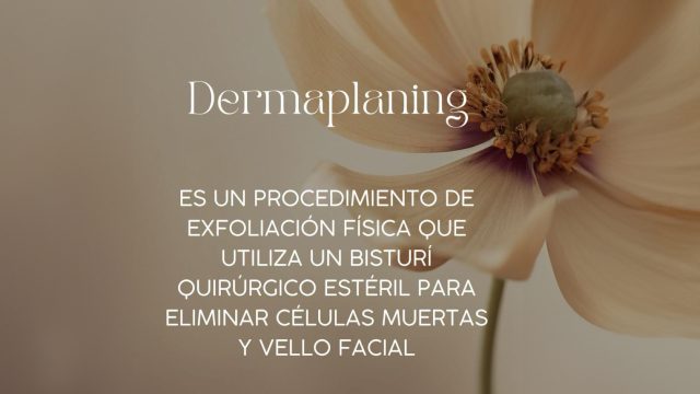 WhatsApp Image 2025-02-25 at 8.49.19 PM (1)