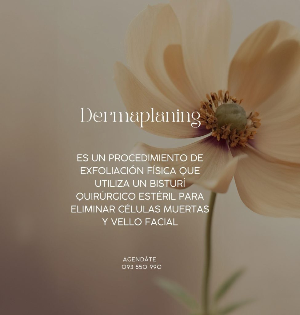 WhatsApp Image 2025-02-25 at 8.49.19 PM (1)