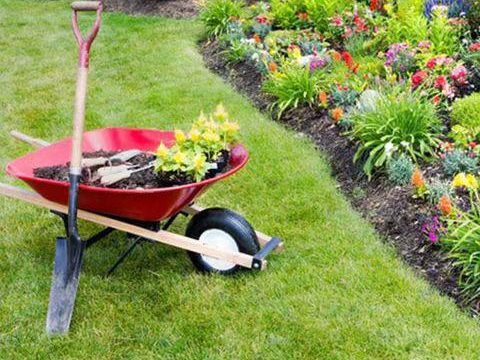 WhatsApp Image 2025-02-25 at 8.50.11 PM