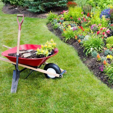 WhatsApp Image 2025-02-25 at 8.50.11 PM