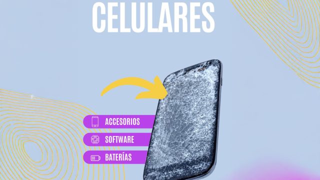 WhatsApp Image 2025-04-28 at 5.55.00 PM