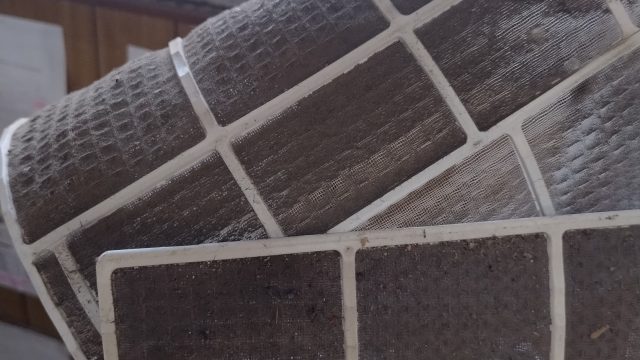 505111856_1225238749249096_6748092485528979353_n