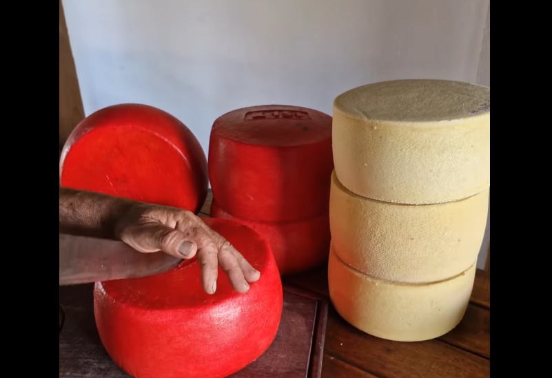 Captura de pantalla 2025-08-11 110834