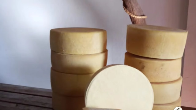 Captura de pantalla 2025-08-11 111045