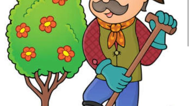 WhatsApp Image 2025-08-26 at 9.24.31 PM (1)