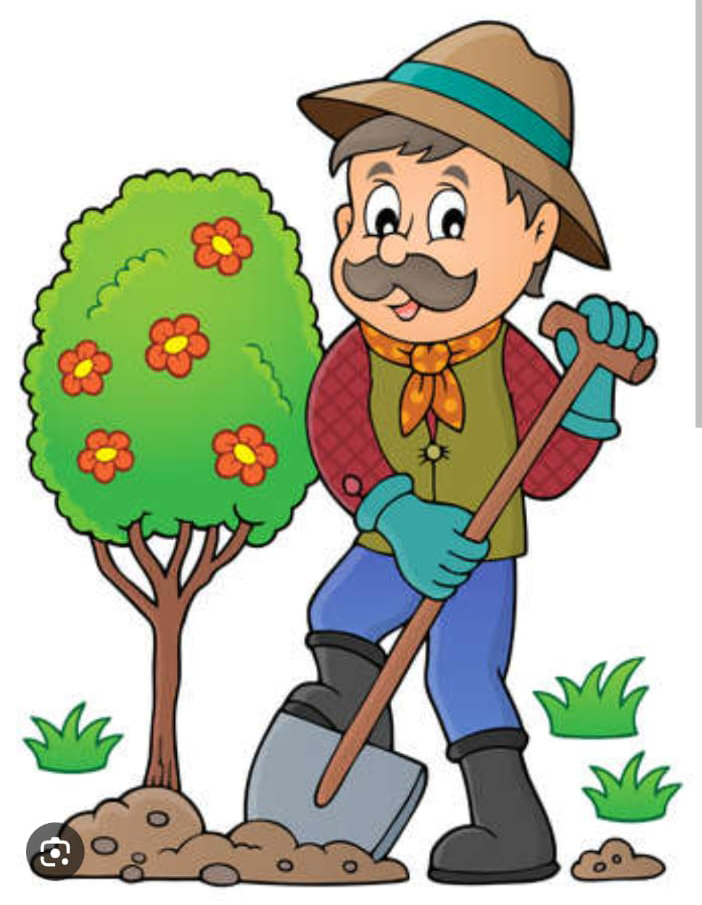 WhatsApp Image 2025-08-26 at 9.24.31 PM (1)