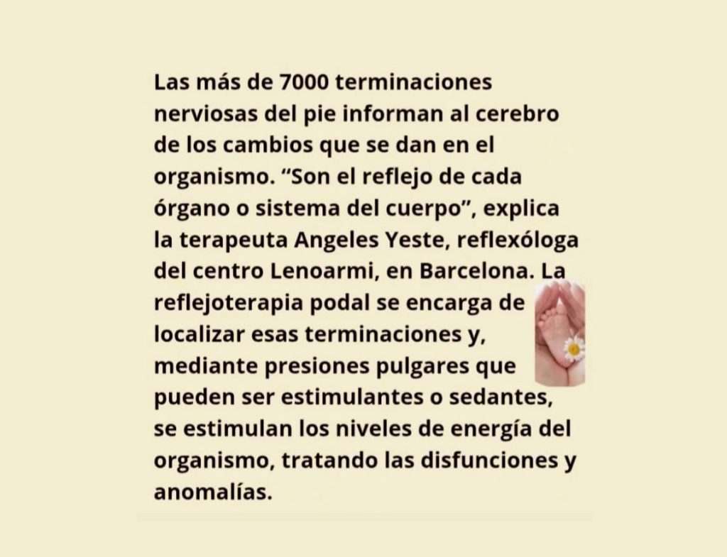 WhatsApp Image 2025-10-23 at 2.40.45 PM (3)