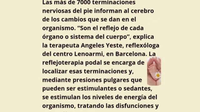 WhatsApp Image 2025-10-23 at 2.40.45 PM (3)