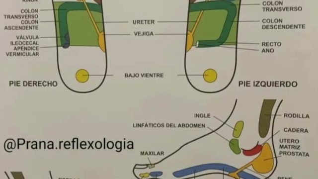 WhatsApp Image 2025-10-23 at 2.40.46 PM (1)