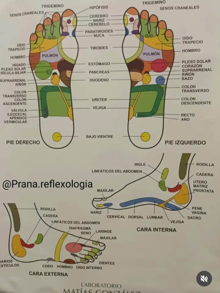 WhatsApp Image 2025-10-23 at 2.40.46 PM (1)