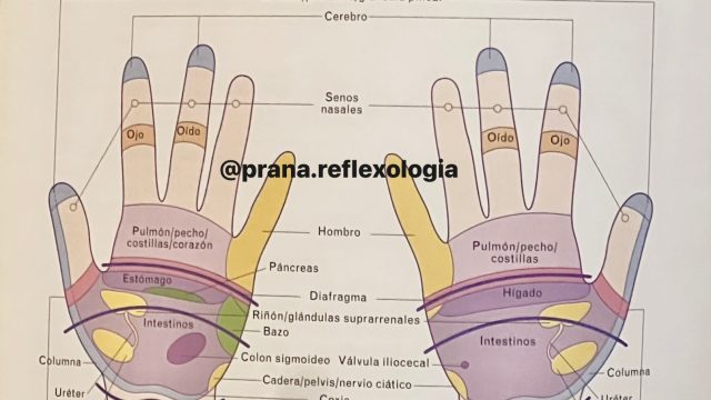 WhatsApp Image 2025-10-23 at 2.40.46 PM (4)