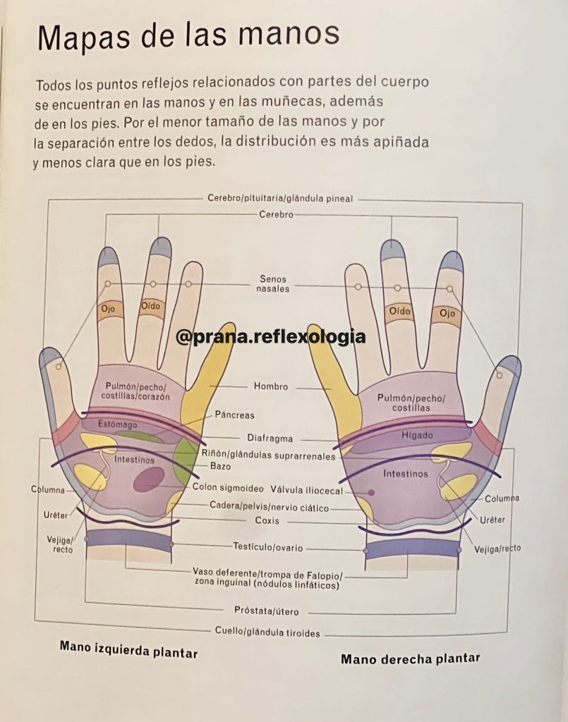 WhatsApp Image 2025-10-23 at 2.40.46 PM (4)