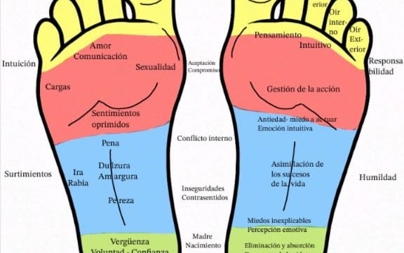 WhatsApp Image 2025-10-23 at 2.40.47 PM