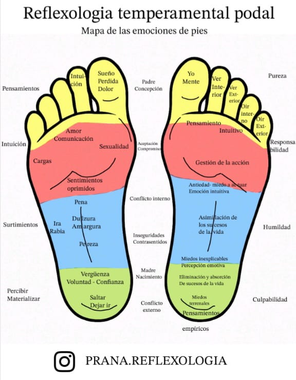 WhatsApp Image 2025-10-23 at 2.40.47 PM