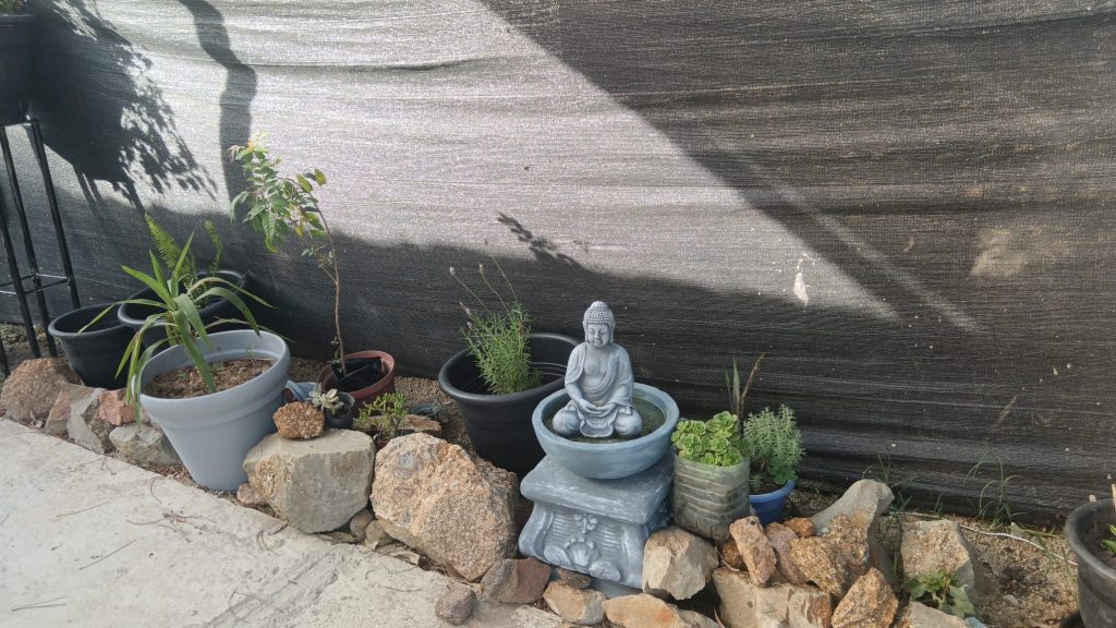 WhatsApp Image 2025-10-26 at 1.15.03 PM