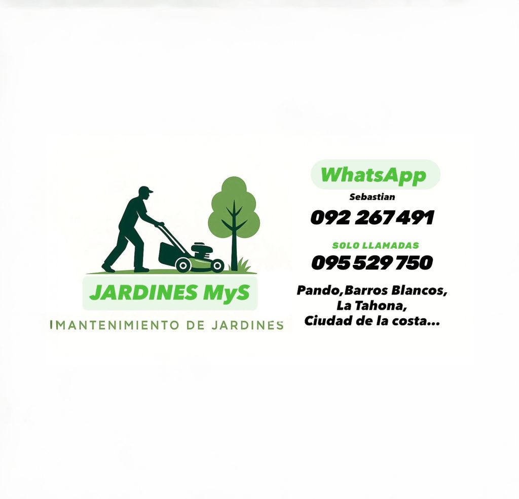 Imagen de WhatsApp 2025-11-12 a las 09.03.09_31d23d5c copia