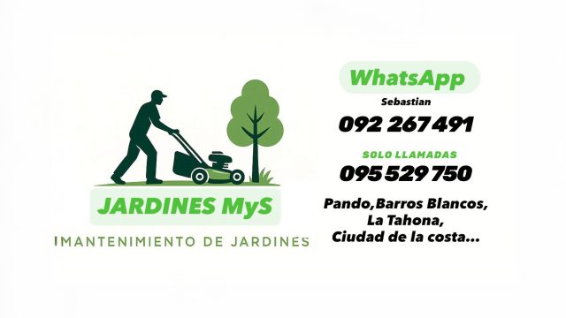 Imagen de WhatsApp 2025-11-12 a las 09.03.09_31d23d5c copia