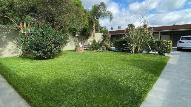 Imagen de WhatsApp 2025-11-12 a las 09.03.09_87d3a249