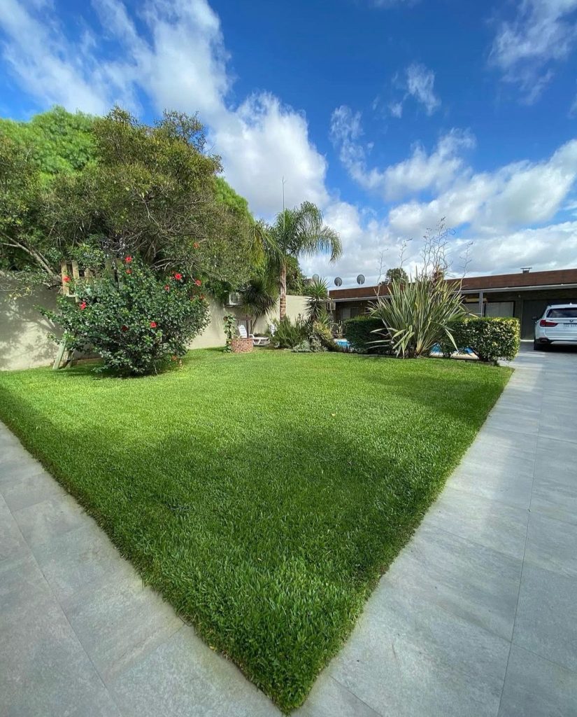 Imagen de WhatsApp 2025-11-12 a las 09.03.09_87d3a249