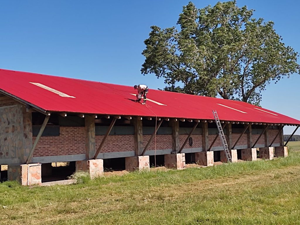 WhatsApp-Image-2024-07-04-at-12.15.49 (1)