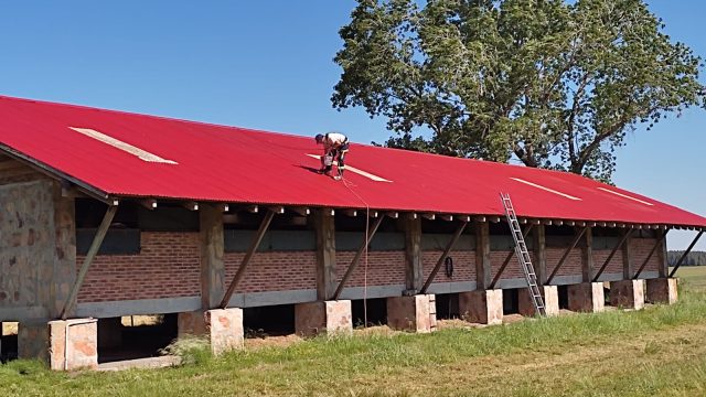 WhatsApp-Image-2024-07-04-at-12.15.49 (1)