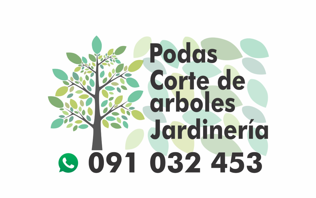 PODAS CORTE DE ÁRBOLES