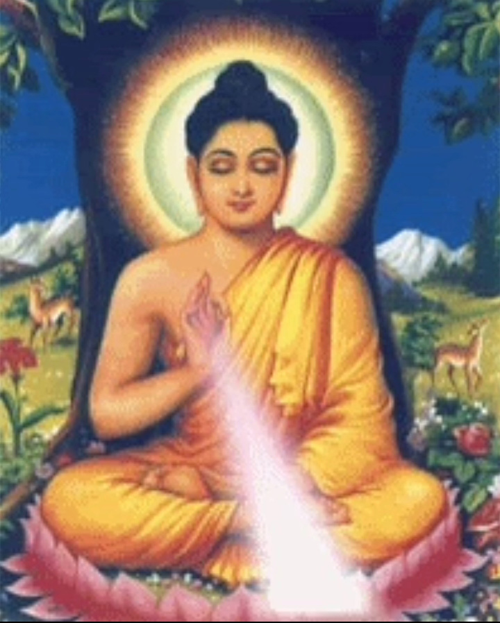 WhatsApp Image 2026-07-01 at 6.09.39 PM